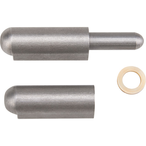 Weld-On Hinge
