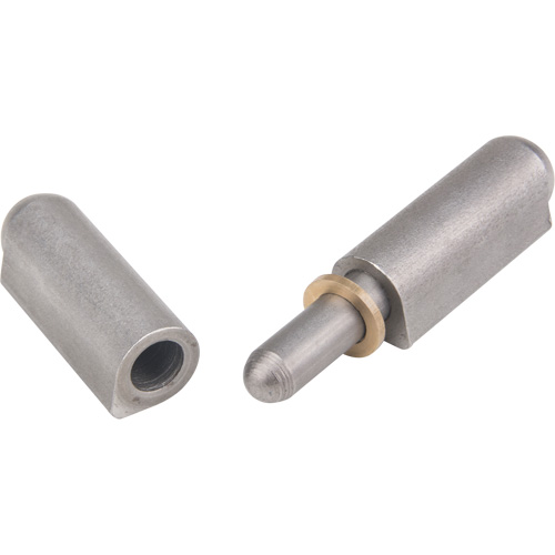 Weld-On Hinge