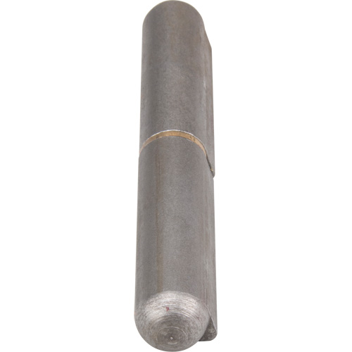 Weld-On Hinge