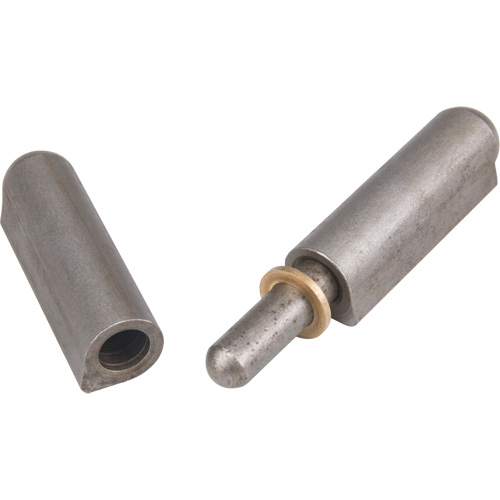 Weld-On Hinge