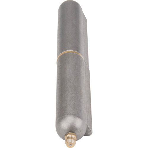 Weld-On Hinge