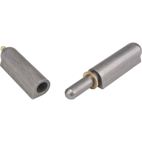 Weld-On Hinge