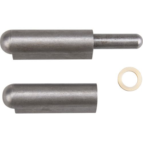 Weld-On Hinge