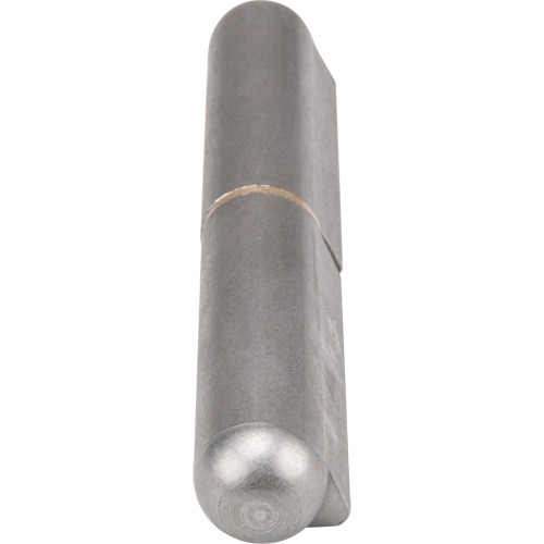 Weld-On Hinge