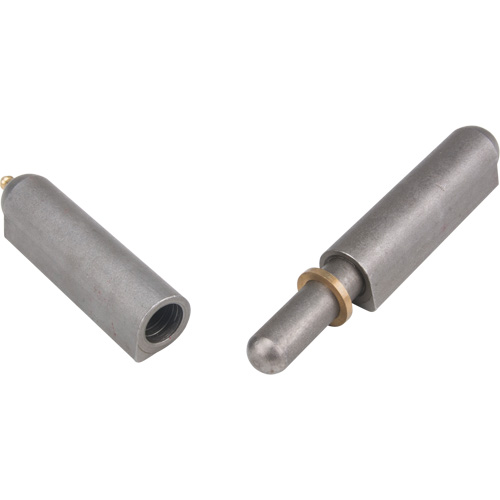 Weld-On Hinge