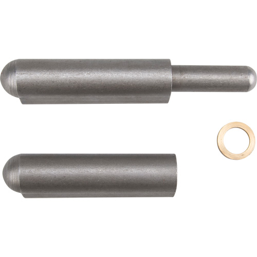Weld-On Hinge