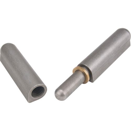 Weld-On Hinge