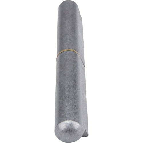 Weld-On Hinge