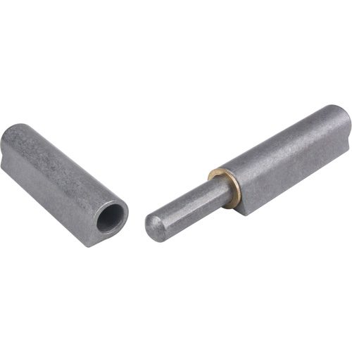 Weld-On Hinge