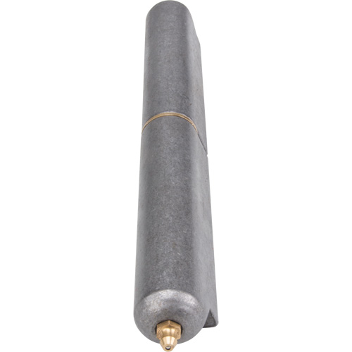 Weld-On Hinge