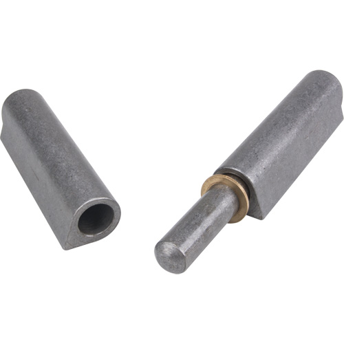 Weld-On Hinge