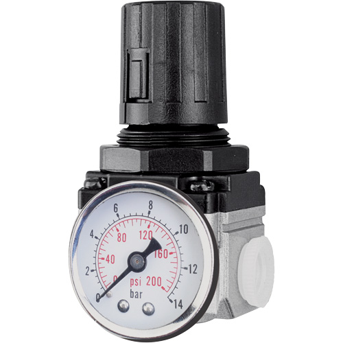 Air Regulator (Gauge Included), 1/2" NPT, 220 PSI Max. PSI, Modular